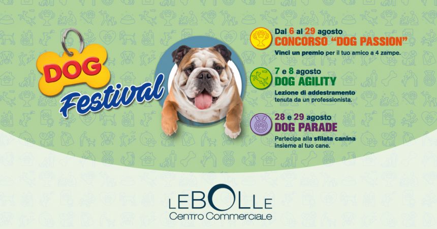 DOG FESTIVAL