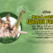 DINO LAB&SHOW – JURASSIC PROJECT